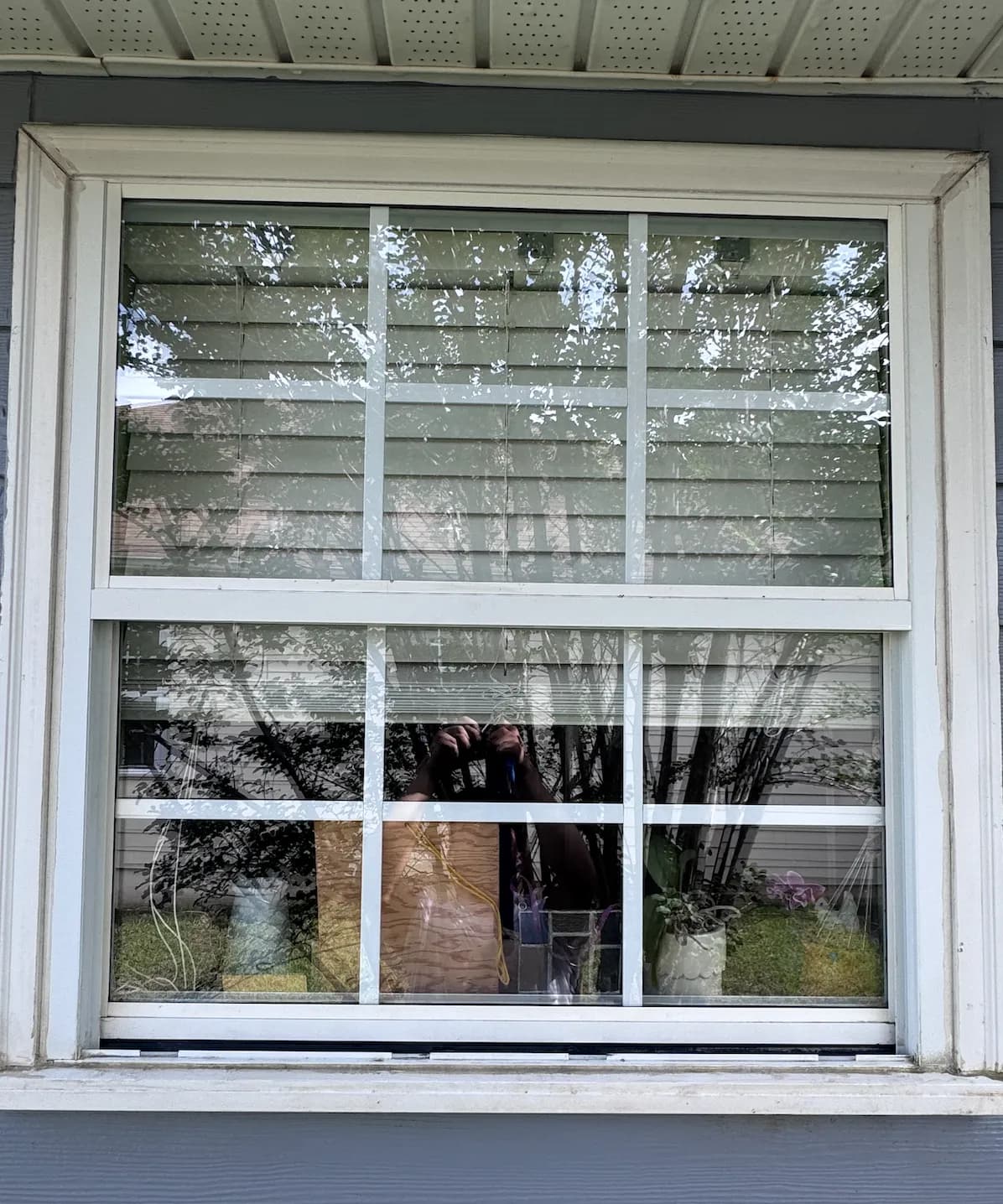 Spotless residential window after professional cleaning by TEX, Tallahassee FL