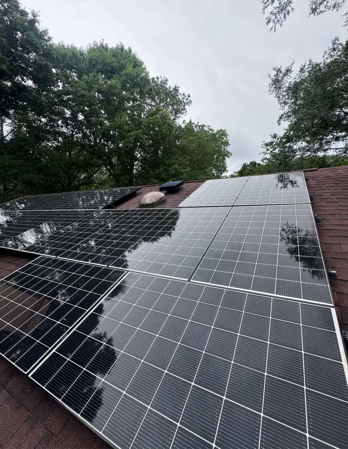 Freshly cleaned solar panels on a Tallahassee rooftop by TEX Window Cleaning